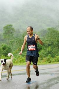 BIB: 5084
                            <button type="button" onclick="openModal(5617610)" class="btn btn-primary btn-sm float-right btn-popup" data-toggle="modal" data-target=".modal-high-quality">
                        <i class="fas fa-shopping-cart"></i> Add to Cart
                    </button>
                                            <button type="button" onclick="isThisMe(5617610, true)" class="btn btn-success btn-sm float-right btn-popup btn-isme hidden" data-toggle="tooltip" data-placement="bottom" title="นี่คือรูปของคุณใช่ไหม คลิกที่นี่เพื่อเอาเข้าอัลบั้ม">
                        <i class="fas fa-plus"></i> Add to album
                    </button>
                    <button type="button" onclick="isThisMe(5617610, false)" class="btn btn-warning btn-sm float-right btn-popup btn-isnotme hidden">
                        <i class="fas fa-ban"></i> Remove from album
                    </button>