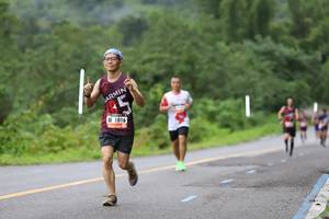 BIB: 016
                            <button type="button" onclick="openModal(5583318)" class="btn btn-primary btn-sm float-right btn-popup" data-toggle="modal" data-target=".modal-high-quality">
                        <i class="fas fa-shopping-cart"></i> Add to Cart
                    </button>
                                            <button type="button" onclick="isThisMe(5583318, true)" class="btn btn-success btn-sm float-right btn-popup btn-isme hidden" data-toggle="tooltip" data-placement="bottom" title="นี่คือรูปของคุณใช่ไหม คลิกที่นี่เพื่อเอาเข้าอัลบั้ม">
                        <i class="fas fa-plus"></i> Add to album
                    </button>
                    <button type="button" onclick="isThisMe(5583318, false)" class="btn btn-warning btn-sm float-right btn-popup btn-isnotme hidden">
                        <i class="fas fa-ban"></i> Remove from album
                    </button>