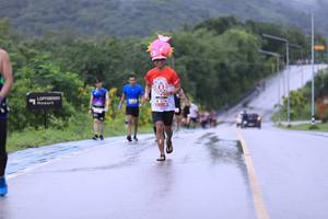 BIB: 714
                            <button type="button" onclick="openModal(5644607)" class="btn btn-primary btn-sm float-right btn-popup" data-toggle="modal" data-target=".modal-high-quality">
                        <i class="fas fa-shopping-cart"></i> Add to Cart
                    </button>
                                            <button type="button" onclick="isThisMe(5644607, true)" class="btn btn-success btn-sm float-right btn-popup btn-isme hidden" data-toggle="tooltip" data-placement="bottom" title="นี่คือรูปของคุณใช่ไหม คลิกที่นี่เพื่อเอาเข้าอัลบั้ม">
                        <i class="fas fa-plus"></i> Add to album
                    </button>
                    <button type="button" onclick="isThisMe(5644607, false)" class="btn btn-warning btn-sm float-right btn-popup btn-isnotme hidden">
                        <i class="fas fa-ban"></i> Remove from album
                    </button>