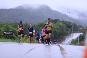 BIB: 
                            <button type="button" onclick="openModal(5635965)" class="btn btn-primary btn-sm float-right btn-popup" data-toggle="modal" data-target=".modal-high-quality">
                        <i class="fas fa-shopping-cart"></i> Add to Cart
                    </button>
                                            <button type="button" onclick="isThisMe(5635965, true)" class="btn btn-success btn-sm float-right btn-popup btn-isme hidden" data-toggle="tooltip" data-placement="bottom" title="นี่คือรูปของคุณใช่ไหม คลิกที่นี่เพื่อเอาเข้าอัลบั้ม">
                        <i class="fas fa-plus"></i> Add to album
                    </button>
                    <button type="button" onclick="isThisMe(5635965, false)" class="btn btn-warning btn-sm float-right btn-popup btn-isnotme hidden">
                        <i class="fas fa-ban"></i> Remove from album
                    </button>