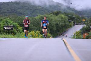 BIB: 
                            <button type="button" onclick="openModal(5608447)" class="btn btn-primary btn-sm float-right btn-popup" data-toggle="modal" data-target=".modal-high-quality">
                        <i class="fas fa-shopping-cart"></i> Add to Cart
                    </button>
                                            <button type="button" onclick="isThisMe(5608447, true)" class="btn btn-success btn-sm float-right btn-popup btn-isme hidden" data-toggle="tooltip" data-placement="bottom" title="นี่คือรูปของคุณใช่ไหม คลิกที่นี่เพื่อเอาเข้าอัลบั้ม">
                        <i class="fas fa-plus"></i> Add to album
                    </button>
                    <button type="button" onclick="isThisMe(5608447, false)" class="btn btn-warning btn-sm float-right btn-popup btn-isnotme hidden">
                        <i class="fas fa-ban"></i> Remove from album
                    </button>