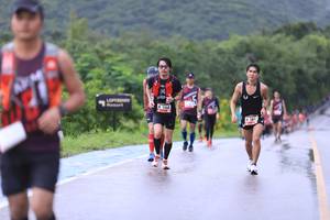 BIB: 5568, 584
                            <button type="button" onclick="openModal(5646211)" class="btn btn-primary btn-sm float-right btn-popup" data-toggle="modal" data-target=".modal-high-quality">
                        <i class="fas fa-shopping-cart"></i> Add to Cart
                    </button>
                                            <button type="button" onclick="isThisMe(5646211, true)" class="btn btn-success btn-sm float-right btn-popup btn-isme hidden" data-toggle="tooltip" data-placement="bottom" title="นี่คือรูปของคุณใช่ไหม คลิกที่นี่เพื่อเอาเข้าอัลบั้ม">
                        <i class="fas fa-plus"></i> Add to album
                    </button>
                    <button type="button" onclick="isThisMe(5646211, false)" class="btn btn-warning btn-sm float-right btn-popup btn-isnotme hidden">
                        <i class="fas fa-ban"></i> Remove from album
                    </button>