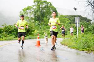 BIB: 5966, 6024
                            <button type="button" onclick="openModal(5615333)" class="btn btn-primary btn-sm float-right btn-popup" data-toggle="modal" data-target=".modal-high-quality">
                        <i class="fas fa-shopping-cart"></i> Add to Cart
                    </button>
                                            <button type="button" onclick="isThisMe(5615333, true)" class="btn btn-success btn-sm float-right btn-popup btn-isme hidden" data-toggle="tooltip" data-placement="bottom" title="นี่คือรูปของคุณใช่ไหม คลิกที่นี่เพื่อเอาเข้าอัลบั้ม">
                        <i class="fas fa-plus"></i> Add to album
                    </button>
                    <button type="button" onclick="isThisMe(5615333, false)" class="btn btn-warning btn-sm float-right btn-popup btn-isnotme hidden">
                        <i class="fas fa-ban"></i> Remove from album
                    </button>