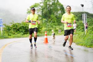 BIB: 6024, 5966
                            <button type="button" onclick="openModal(5615330)" class="btn btn-primary btn-sm float-right btn-popup" data-toggle="modal" data-target=".modal-high-quality">
                        <i class="fas fa-shopping-cart"></i> Add to Cart
                    </button>
                                            <button type="button" onclick="isThisMe(5615330, true)" class="btn btn-success btn-sm float-right btn-popup btn-isme hidden" data-toggle="tooltip" data-placement="bottom" title="นี่คือรูปของคุณใช่ไหม คลิกที่นี่เพื่อเอาเข้าอัลบั้ม">
                        <i class="fas fa-plus"></i> Add to album
                    </button>
                    <button type="button" onclick="isThisMe(5615330, false)" class="btn btn-warning btn-sm float-right btn-popup btn-isnotme hidden">
                        <i class="fas fa-ban"></i> Remove from album
                    </button>