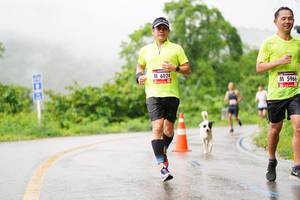 BIB: 6024, 5966
                            <button type="button" onclick="openModal(5615345)" class="btn btn-primary btn-sm float-right btn-popup" data-toggle="modal" data-target=".modal-high-quality">
                        <i class="fas fa-shopping-cart"></i> Add to Cart
                    </button>
                                            <button type="button" onclick="isThisMe(5615345, true)" class="btn btn-success btn-sm float-right btn-popup btn-isme hidden" data-toggle="tooltip" data-placement="bottom" title="นี่คือรูปของคุณใช่ไหม คลิกที่นี่เพื่อเอาเข้าอัลบั้ม">
                        <i class="fas fa-plus"></i> Add to album
                    </button>
                    <button type="button" onclick="isThisMe(5615345, false)" class="btn btn-warning btn-sm float-right btn-popup btn-isnotme hidden">
                        <i class="fas fa-ban"></i> Remove from album
                    </button>