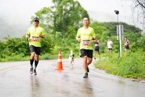 BIB: 6024, 5966
                            <button type="button" onclick="openModal(5615298)" class="btn btn-primary btn-sm float-right btn-popup" data-toggle="modal" data-target=".modal-high-quality">
                        <i class="fas fa-shopping-cart"></i> Add to Cart
                    </button>
                                            <button type="button" onclick="isThisMe(5615298, true)" class="btn btn-success btn-sm float-right btn-popup btn-isme hidden" data-toggle="tooltip" data-placement="bottom" title="นี่คือรูปของคุณใช่ไหม คลิกที่นี่เพื่อเอาเข้าอัลบั้ม">
                        <i class="fas fa-plus"></i> Add to album
                    </button>
                    <button type="button" onclick="isThisMe(5615298, false)" class="btn btn-warning btn-sm float-right btn-popup btn-isnotme hidden">
                        <i class="fas fa-ban"></i> Remove from album
                    </button>