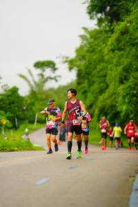 BIB: 526
                            <button type="button" onclick="openModal(5762319)" class="btn btn-primary btn-sm float-right btn-popup" data-toggle="modal" data-target=".modal-high-quality">
                        <i class="fas fa-shopping-cart"></i> Add to Cart
                    </button>
                                            <button type="button" onclick="isThisMe(5762319, true)" class="btn btn-success btn-sm float-right btn-popup btn-isme hidden" data-toggle="tooltip" data-placement="bottom" title="นี่คือรูปของคุณใช่ไหม คลิกที่นี่เพื่อเอาเข้าอัลบั้ม">
                        <i class="fas fa-plus"></i> Add to album
                    </button>
                    <button type="button" onclick="isThisMe(5762319, false)" class="btn btn-warning btn-sm float-right btn-popup btn-isnotme hidden">
                        <i class="fas fa-ban"></i> Remove from album
                    </button>