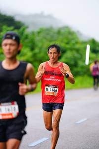 BIB: 1466
                            <button type="button" onclick="openModal(5754782)" class="btn btn-primary btn-sm float-right btn-popup" data-toggle="modal" data-target=".modal-high-quality">
                        <i class="fas fa-shopping-cart"></i> Add to Cart
                    </button>
                                            <button type="button" onclick="isThisMe(5754782, true)" class="btn btn-success btn-sm float-right btn-popup btn-isme hidden" data-toggle="tooltip" data-placement="bottom" title="นี่คือรูปของคุณใช่ไหม คลิกที่นี่เพื่อเอาเข้าอัลบั้ม">
                        <i class="fas fa-plus"></i> Add to album
                    </button>
                    <button type="button" onclick="isThisMe(5754782, false)" class="btn btn-warning btn-sm float-right btn-popup btn-isnotme hidden">
                        <i class="fas fa-ban"></i> Remove from album
                    </button>