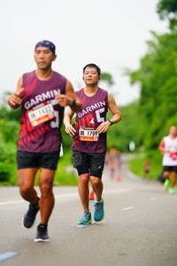 BIB: 1432, 1709
                            <button type="button" onclick="openModal(5758378)" class="btn btn-primary btn-sm float-right btn-popup" data-toggle="modal" data-target=".modal-high-quality">
                        <i class="fas fa-shopping-cart"></i> Add to Cart
                    </button>
                                            <button type="button" onclick="isThisMe(5758378, true)" class="btn btn-success btn-sm float-right btn-popup btn-isme hidden" data-toggle="tooltip" data-placement="bottom" title="นี่คือรูปของคุณใช่ไหม คลิกที่นี่เพื่อเอาเข้าอัลบั้ม">
                        <i class="fas fa-plus"></i> Add to album
                    </button>
                    <button type="button" onclick="isThisMe(5758378, false)" class="btn btn-warning btn-sm float-right btn-popup btn-isnotme hidden">
                        <i class="fas fa-ban"></i> Remove from album
                    </button>