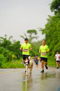 BIB: 6024, 5966
                            <button type="button" onclick="openModal(5766319)" class="btn btn-primary btn-sm float-right btn-popup" data-toggle="modal" data-target=".modal-high-quality">
                        <i class="fas fa-shopping-cart"></i> Add to Cart
                    </button>
                                            <button type="button" onclick="isThisMe(5766319, true)" class="btn btn-success btn-sm float-right btn-popup btn-isme hidden" data-toggle="tooltip" data-placement="bottom" title="นี่คือรูปของคุณใช่ไหม คลิกที่นี่เพื่อเอาเข้าอัลบั้ม">
                        <i class="fas fa-plus"></i> Add to album
                    </button>
                    <button type="button" onclick="isThisMe(5766319, false)" class="btn btn-warning btn-sm float-right btn-popup btn-isnotme hidden">
                        <i class="fas fa-ban"></i> Remove from album
                    </button>