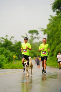 BIB: 6024, 5966
                            <button type="button" onclick="openModal(5766327)" class="btn btn-primary btn-sm float-right btn-popup" data-toggle="modal" data-target=".modal-high-quality">
                        <i class="fas fa-shopping-cart"></i> Add to Cart
                    </button>
                                            <button type="button" onclick="isThisMe(5766327, true)" class="btn btn-success btn-sm float-right btn-popup btn-isme hidden" data-toggle="tooltip" data-placement="bottom" title="นี่คือรูปของคุณใช่ไหม คลิกที่นี่เพื่อเอาเข้าอัลบั้ม">
                        <i class="fas fa-plus"></i> Add to album
                    </button>
                    <button type="button" onclick="isThisMe(5766327, false)" class="btn btn-warning btn-sm float-right btn-popup btn-isnotme hidden">
                        <i class="fas fa-ban"></i> Remove from album
                    </button>