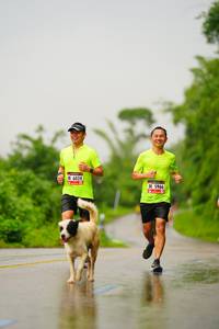 BIB: 6024, 5966
                            <button type="button" onclick="openModal(5766333)" class="btn btn-primary btn-sm float-right btn-popup" data-toggle="modal" data-target=".modal-high-quality">
                        <i class="fas fa-shopping-cart"></i> Add to Cart
                    </button>
                                            <button type="button" onclick="isThisMe(5766333, true)" class="btn btn-success btn-sm float-right btn-popup btn-isme hidden" data-toggle="tooltip" data-placement="bottom" title="นี่คือรูปของคุณใช่ไหม คลิกที่นี่เพื่อเอาเข้าอัลบั้ม">
                        <i class="fas fa-plus"></i> Add to album
                    </button>
                    <button type="button" onclick="isThisMe(5766333, false)" class="btn btn-warning btn-sm float-right btn-popup btn-isnotme hidden">
                        <i class="fas fa-ban"></i> Remove from album
                    </button>