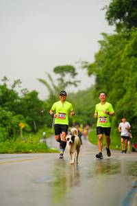 BIB: 6024, 966
                            <button type="button" onclick="openModal(5766300)" class="btn btn-primary btn-sm float-right btn-popup" data-toggle="modal" data-target=".modal-high-quality">
                        <i class="fas fa-shopping-cart"></i> Add to Cart
                    </button>
                                            <button type="button" onclick="isThisMe(5766300, true)" class="btn btn-success btn-sm float-right btn-popup btn-isme hidden" data-toggle="tooltip" data-placement="bottom" title="นี่คือรูปของคุณใช่ไหม คลิกที่นี่เพื่อเอาเข้าอัลบั้ม">
                        <i class="fas fa-plus"></i> Add to album
                    </button>
                    <button type="button" onclick="isThisMe(5766300, false)" class="btn btn-warning btn-sm float-right btn-popup btn-isnotme hidden">
                        <i class="fas fa-ban"></i> Remove from album
                    </button>