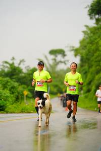 BIB: 6024, 5966
                            <button type="button" onclick="openModal(5766329)" class="btn btn-primary btn-sm float-right btn-popup" data-toggle="modal" data-target=".modal-high-quality">
                        <i class="fas fa-shopping-cart"></i> Add to Cart
                    </button>
                                            <button type="button" onclick="isThisMe(5766329, true)" class="btn btn-success btn-sm float-right btn-popup btn-isme hidden" data-toggle="tooltip" data-placement="bottom" title="นี่คือรูปของคุณใช่ไหม คลิกที่นี่เพื่อเอาเข้าอัลบั้ม">
                        <i class="fas fa-plus"></i> Add to album
                    </button>
                    <button type="button" onclick="isThisMe(5766329, false)" class="btn btn-warning btn-sm float-right btn-popup btn-isnotme hidden">
                        <i class="fas fa-ban"></i> Remove from album
                    </button>