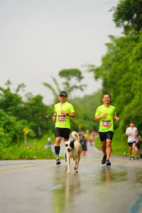 BIB: 
                            <button type="button" onclick="openModal(5766312)" class="btn btn-primary btn-sm float-right btn-popup" data-toggle="modal" data-target=".modal-high-quality">
                        <i class="fas fa-shopping-cart"></i> Add to Cart
                    </button>
                                            <button type="button" onclick="isThisMe(5766312, true)" class="btn btn-success btn-sm float-right btn-popup btn-isme hidden" data-toggle="tooltip" data-placement="bottom" title="นี่คือรูปของคุณใช่ไหม คลิกที่นี่เพื่อเอาเข้าอัลบั้ม">
                        <i class="fas fa-plus"></i> Add to album
                    </button>
                    <button type="button" onclick="isThisMe(5766312, false)" class="btn btn-warning btn-sm float-right btn-popup btn-isnotme hidden">
                        <i class="fas fa-ban"></i> Remove from album
                    </button>