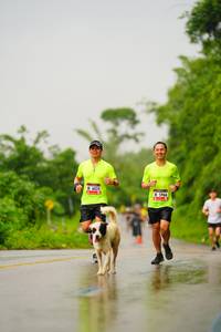 BIB: 6024, 5966
                            <button type="button" onclick="openModal(5766317)" class="btn btn-primary btn-sm float-right btn-popup" data-toggle="modal" data-target=".modal-high-quality">
                        <i class="fas fa-shopping-cart"></i> Add to Cart
                    </button>
                                            <button type="button" onclick="isThisMe(5766317, true)" class="btn btn-success btn-sm float-right btn-popup btn-isme hidden" data-toggle="tooltip" data-placement="bottom" title="นี่คือรูปของคุณใช่ไหม คลิกที่นี่เพื่อเอาเข้าอัลบั้ม">
                        <i class="fas fa-plus"></i> Add to album
                    </button>
                    <button type="button" onclick="isThisMe(5766317, false)" class="btn btn-warning btn-sm float-right btn-popup btn-isnotme hidden">
                        <i class="fas fa-ban"></i> Remove from album
                    </button>