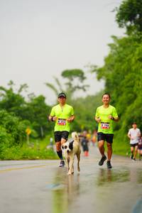 BIB: 6024, 5966
                            <button type="button" onclick="openModal(5766316)" class="btn btn-primary btn-sm float-right btn-popup" data-toggle="modal" data-target=".modal-high-quality">
                        <i class="fas fa-shopping-cart"></i> Add to Cart
                    </button>
                                            <button type="button" onclick="isThisMe(5766316, true)" class="btn btn-success btn-sm float-right btn-popup btn-isme hidden" data-toggle="tooltip" data-placement="bottom" title="นี่คือรูปของคุณใช่ไหม คลิกที่นี่เพื่อเอาเข้าอัลบั้ม">
                        <i class="fas fa-plus"></i> Add to album
                    </button>
                    <button type="button" onclick="isThisMe(5766316, false)" class="btn btn-warning btn-sm float-right btn-popup btn-isnotme hidden">
                        <i class="fas fa-ban"></i> Remove from album
                    </button>