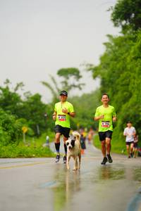 BIB: 6024, 596
                            <button type="button" onclick="openModal(5766314)" class="btn btn-primary btn-sm float-right btn-popup" data-toggle="modal" data-target=".modal-high-quality">
                        <i class="fas fa-shopping-cart"></i> Add to Cart
                    </button>
                                            <button type="button" onclick="isThisMe(5766314, true)" class="btn btn-success btn-sm float-right btn-popup btn-isme hidden" data-toggle="tooltip" data-placement="bottom" title="นี่คือรูปของคุณใช่ไหม คลิกที่นี่เพื่อเอาเข้าอัลบั้ม">
                        <i class="fas fa-plus"></i> Add to album
                    </button>
                    <button type="button" onclick="isThisMe(5766314, false)" class="btn btn-warning btn-sm float-right btn-popup btn-isnotme hidden">
                        <i class="fas fa-ban"></i> Remove from album
                    </button>