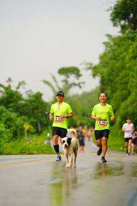 BIB: 5966
                            <button type="button" onclick="openModal(5766310)" class="btn btn-primary btn-sm float-right btn-popup" data-toggle="modal" data-target=".modal-high-quality">
                        <i class="fas fa-shopping-cart"></i> Add to Cart
                    </button>
                                            <button type="button" onclick="isThisMe(5766310, true)" class="btn btn-success btn-sm float-right btn-popup btn-isme hidden" data-toggle="tooltip" data-placement="bottom" title="นี่คือรูปของคุณใช่ไหม คลิกที่นี่เพื่อเอาเข้าอัลบั้ม">
                        <i class="fas fa-plus"></i> Add to album
                    </button>
                    <button type="button" onclick="isThisMe(5766310, false)" class="btn btn-warning btn-sm float-right btn-popup btn-isnotme hidden">
                        <i class="fas fa-ban"></i> Remove from album
                    </button>