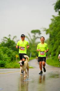 BIB: 6024, 5966
                            <button type="button" onclick="openModal(5766331)" class="btn btn-primary btn-sm float-right btn-popup" data-toggle="modal" data-target=".modal-high-quality">
                        <i class="fas fa-shopping-cart"></i> Add to Cart
                    </button>
                                            <button type="button" onclick="isThisMe(5766331, true)" class="btn btn-success btn-sm float-right btn-popup btn-isme hidden" data-toggle="tooltip" data-placement="bottom" title="นี่คือรูปของคุณใช่ไหม คลิกที่นี่เพื่อเอาเข้าอัลบั้ม">
                        <i class="fas fa-plus"></i> Add to album
                    </button>
                    <button type="button" onclick="isThisMe(5766331, false)" class="btn btn-warning btn-sm float-right btn-popup btn-isnotme hidden">
                        <i class="fas fa-ban"></i> Remove from album
                    </button>