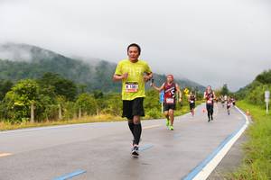 BIB: 1381
                            <button type="button" onclick="openModal(5666350)" class="btn btn-primary btn-sm float-right btn-popup" data-toggle="modal" data-target=".modal-high-quality">
                        <i class="fas fa-shopping-cart"></i> Add to Cart
                    </button>
                                            <button type="button" onclick="isThisMe(5666350, true)" class="btn btn-success btn-sm float-right btn-popup btn-isme hidden" data-toggle="tooltip" data-placement="bottom" title="นี่คือรูปของคุณใช่ไหม คลิกที่นี่เพื่อเอาเข้าอัลบั้ม">
                        <i class="fas fa-plus"></i> Add to album
                    </button>
                    <button type="button" onclick="isThisMe(5666350, false)" class="btn btn-warning btn-sm float-right btn-popup btn-isnotme hidden">
                        <i class="fas fa-ban"></i> Remove from album
                    </button>