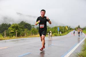 BIB: 6133
                            <button type="button" onclick="openModal(5612681)" class="btn btn-primary btn-sm float-right btn-popup" data-toggle="modal" data-target=".modal-high-quality">
                        <i class="fas fa-shopping-cart"></i> Add to Cart
                    </button>
                                            <button type="button" onclick="isThisMe(5612681, true)" class="btn btn-success btn-sm float-right btn-popup btn-isme hidden" data-toggle="tooltip" data-placement="bottom" title="นี่คือรูปของคุณใช่ไหม คลิกที่นี่เพื่อเอาเข้าอัลบั้ม">
                        <i class="fas fa-plus"></i> Add to album
                    </button>
                    <button type="button" onclick="isThisMe(5612681, false)" class="btn btn-warning btn-sm float-right btn-popup btn-isnotme hidden">
                        <i class="fas fa-ban"></i> Remove from album
                    </button>