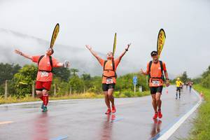 BIB: 
                            <button type="button" onclick="openModal(5610602)" class="btn btn-primary btn-sm float-right btn-popup" data-toggle="modal" data-target=".modal-high-quality">
                        <i class="fas fa-shopping-cart"></i> Add to Cart
                    </button>
                                            <button type="button" onclick="isThisMe(5610602, true)" class="btn btn-success btn-sm float-right btn-popup btn-isme hidden" data-toggle="tooltip" data-placement="bottom" title="นี่คือรูปของคุณใช่ไหม คลิกที่นี่เพื่อเอาเข้าอัลบั้ม">
                        <i class="fas fa-plus"></i> Add to album
                    </button>
                    <button type="button" onclick="isThisMe(5610602, false)" class="btn btn-warning btn-sm float-right btn-popup btn-isnotme hidden">
                        <i class="fas fa-ban"></i> Remove from album
                    </button>