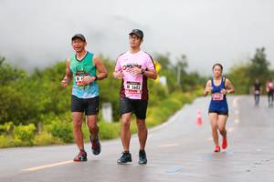 BIB: 5603
                            <button type="button" onclick="openModal(5588794)" class="btn btn-primary btn-sm float-right btn-popup" data-toggle="modal" data-target=".modal-high-quality">
                        <i class="fas fa-shopping-cart"></i> Add to Cart
                    </button>
                                            <button type="button" onclick="isThisMe(5588794, true)" class="btn btn-success btn-sm float-right btn-popup btn-isme hidden" data-toggle="tooltip" data-placement="bottom" title="นี่คือรูปของคุณใช่ไหม คลิกที่นี่เพื่อเอาเข้าอัลบั้ม">
                        <i class="fas fa-plus"></i> Add to album
                    </button>
                    <button type="button" onclick="isThisMe(5588794, false)" class="btn btn-warning btn-sm float-right btn-popup btn-isnotme hidden">
                        <i class="fas fa-ban"></i> Remove from album
                    </button>