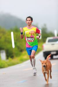 BIB: 5778
                            <button type="button" onclick="openModal(5657486)" class="btn btn-primary btn-sm float-right btn-popup" data-toggle="modal" data-target=".modal-high-quality">
                        <i class="fas fa-shopping-cart"></i> Add to Cart
                    </button>
                                            <button type="button" onclick="isThisMe(5657486, true)" class="btn btn-success btn-sm float-right btn-popup btn-isme hidden" data-toggle="tooltip" data-placement="bottom" title="นี่คือรูปของคุณใช่ไหม คลิกที่นี่เพื่อเอาเข้าอัลบั้ม">
                        <i class="fas fa-plus"></i> Add to album
                    </button>
                    <button type="button" onclick="isThisMe(5657486, false)" class="btn btn-warning btn-sm float-right btn-popup btn-isnotme hidden">
                        <i class="fas fa-ban"></i> Remove from album
                    </button>