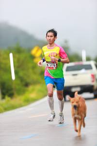 BIB: 5778
                            <button type="button" onclick="openModal(5657469)" class="btn btn-primary btn-sm float-right btn-popup" data-toggle="modal" data-target=".modal-high-quality">
                        <i class="fas fa-shopping-cart"></i> Add to Cart
                    </button>
                                            <button type="button" onclick="isThisMe(5657469, true)" class="btn btn-success btn-sm float-right btn-popup btn-isme hidden" data-toggle="tooltip" data-placement="bottom" title="นี่คือรูปของคุณใช่ไหม คลิกที่นี่เพื่อเอาเข้าอัลบั้ม">
                        <i class="fas fa-plus"></i> Add to album
                    </button>
                    <button type="button" onclick="isThisMe(5657469, false)" class="btn btn-warning btn-sm float-right btn-popup btn-isnotme hidden">
                        <i class="fas fa-ban"></i> Remove from album
                    </button>