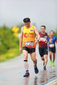 BIB: 5213
                            <button type="button" onclick="openModal(5620678)" class="btn btn-primary btn-sm float-right btn-popup" data-toggle="modal" data-target=".modal-high-quality">
                        <i class="fas fa-shopping-cart"></i> Add to Cart
                    </button>
                                            <button type="button" onclick="isThisMe(5620678, true)" class="btn btn-success btn-sm float-right btn-popup btn-isme hidden" data-toggle="tooltip" data-placement="bottom" title="นี่คือรูปของคุณใช่ไหม คลิกที่นี่เพื่อเอาเข้าอัลบั้ม">
                        <i class="fas fa-plus"></i> Add to album
                    </button>
                    <button type="button" onclick="isThisMe(5620678, false)" class="btn btn-warning btn-sm float-right btn-popup btn-isnotme hidden">
                        <i class="fas fa-ban"></i> Remove from album
                    </button>