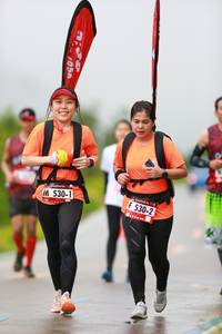 BIB: 
                            <button type="button" onclick="openModal(5592647)" class="btn btn-primary btn-sm float-right btn-popup" data-toggle="modal" data-target=".modal-high-quality">
                        <i class="fas fa-shopping-cart"></i> Add to Cart
                    </button>
                                            <button type="button" onclick="isThisMe(5592647, true)" class="btn btn-success btn-sm float-right btn-popup btn-isme hidden" data-toggle="tooltip" data-placement="bottom" title="นี่คือรูปของคุณใช่ไหม คลิกที่นี่เพื่อเอาเข้าอัลบั้ม">
                        <i class="fas fa-plus"></i> Add to album
                    </button>
                    <button type="button" onclick="isThisMe(5592647, false)" class="btn btn-warning btn-sm float-right btn-popup btn-isnotme hidden">
                        <i class="fas fa-ban"></i> Remove from album
                    </button>