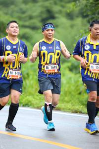 BIB: 
                            <button type="button" onclick="openModal(5666821)" class="btn btn-primary btn-sm float-right btn-popup" data-toggle="modal" data-target=".modal-high-quality">
                        <i class="fas fa-shopping-cart"></i> Add to Cart
                    </button>
                                            <button type="button" onclick="isThisMe(5666821, true)" class="btn btn-success btn-sm float-right btn-popup btn-isme hidden" data-toggle="tooltip" data-placement="bottom" title="นี่คือรูปของคุณใช่ไหม คลิกที่นี่เพื่อเอาเข้าอัลบั้ม">
                        <i class="fas fa-plus"></i> Add to album
                    </button>
                    <button type="button" onclick="isThisMe(5666821, false)" class="btn btn-warning btn-sm float-right btn-popup btn-isnotme hidden">
                        <i class="fas fa-ban"></i> Remove from album
                    </button>