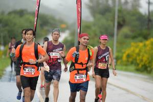 BIB: 5012, 3262
                            <button type="button" onclick="openModal(5552325)" class="btn btn-primary btn-sm float-right btn-popup" data-toggle="modal" data-target=".modal-high-quality">
                        <i class="fas fa-shopping-cart"></i> Add to Cart
                    </button>
                                            <button type="button" onclick="isThisMe(5552325, true)" class="btn btn-success btn-sm float-right btn-popup btn-isme hidden" data-toggle="tooltip" data-placement="bottom" title="นี่คือรูปของคุณใช่ไหม คลิกที่นี่เพื่อเอาเข้าอัลบั้ม">
                        <i class="fas fa-plus"></i> Add to album
                    </button>
                    <button type="button" onclick="isThisMe(5552325, false)" class="btn btn-warning btn-sm float-right btn-popup btn-isnotme hidden">
                        <i class="fas fa-ban"></i> Remove from album
                    </button>