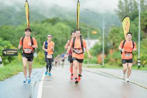 BIB: 
                            <button type="button" onclick="openModal(5804496)" class="btn btn-primary btn-sm float-right btn-popup" data-toggle="modal" data-target=".modal-high-quality">
                        <i class="fas fa-shopping-cart"></i> Add to Cart
                    </button>
                                            <button type="button" onclick="isThisMe(5804496, true)" class="btn btn-success btn-sm float-right btn-popup btn-isme hidden" data-toggle="tooltip" data-placement="bottom" title="นี่คือรูปของคุณใช่ไหม คลิกที่นี่เพื่อเอาเข้าอัลบั้ม">
                        <i class="fas fa-plus"></i> Add to album
                    </button>
                    <button type="button" onclick="isThisMe(5804496, false)" class="btn btn-warning btn-sm float-right btn-popup btn-isnotme hidden">
                        <i class="fas fa-ban"></i> Remove from album
                    </button>