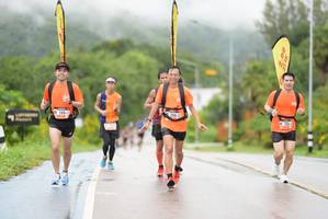 BIB: , 
                            <button type="button" onclick="openModal(5536842)" class="btn btn-primary btn-sm float-right btn-popup" data-toggle="modal" data-target=".modal-high-quality">
                        <i class="fas fa-shopping-cart"></i> Add to Cart
                    </button>
                                            <button type="button" onclick="isThisMe(5536842, true)" class="btn btn-success btn-sm float-right btn-popup btn-isme hidden" data-toggle="tooltip" data-placement="bottom" title="นี่คือรูปของคุณใช่ไหม คลิกที่นี่เพื่อเอาเข้าอัลบั้ม">
                        <i class="fas fa-plus"></i> Add to album
                    </button>
                    <button type="button" onclick="isThisMe(5536842, false)" class="btn btn-warning btn-sm float-right btn-popup btn-isnotme hidden">
                        <i class="fas fa-ban"></i> Remove from album
                    </button>