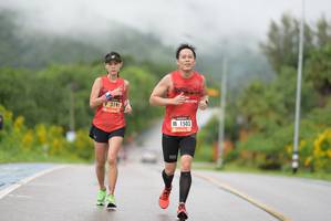 BIB: 3191, 1503
                            <button type="button" onclick="openModal(5537317)" class="btn btn-primary btn-sm float-right btn-popup" data-toggle="modal" data-target=".modal-high-quality">
                        <i class="fas fa-shopping-cart"></i> Add to Cart
                    </button>
                                            <button type="button" onclick="isThisMe(5537317, true)" class="btn btn-success btn-sm float-right btn-popup btn-isme hidden" data-toggle="tooltip" data-placement="bottom" title="นี่คือรูปของคุณใช่ไหม คลิกที่นี่เพื่อเอาเข้าอัลบั้ม">
                        <i class="fas fa-plus"></i> Add to album
                    </button>
                    <button type="button" onclick="isThisMe(5537317, false)" class="btn btn-warning btn-sm float-right btn-popup btn-isnotme hidden">
                        <i class="fas fa-ban"></i> Remove from album
                    </button>