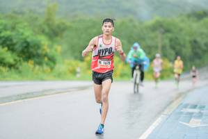 BIB: 1678
                            <button type="button" onclick="openModal(5804178)" class="btn btn-primary btn-sm float-right btn-popup" data-toggle="modal" data-target=".modal-high-quality">
                        <i class="fas fa-shopping-cart"></i> Add to Cart
                    </button>
                                            <button type="button" onclick="isThisMe(5804178, true)" class="btn btn-success btn-sm float-right btn-popup btn-isme hidden" data-toggle="tooltip" data-placement="bottom" title="นี่คือรูปของคุณใช่ไหม คลิกที่นี่เพื่อเอาเข้าอัลบั้ม">
                        <i class="fas fa-plus"></i> Add to album
                    </button>
                    <button type="button" onclick="isThisMe(5804178, false)" class="btn btn-warning btn-sm float-right btn-popup btn-isnotme hidden">
                        <i class="fas fa-ban"></i> Remove from album
                    </button>