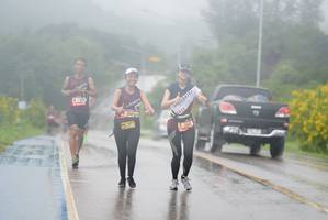 BIB: 1334, 3406, 300
                            <button type="button" onclick="openModal(5545044)" class="btn btn-primary btn-sm float-right btn-popup" data-toggle="modal" data-target=".modal-high-quality">
                        <i class="fas fa-shopping-cart"></i> Add to Cart
                    </button>
                                            <button type="button" onclick="isThisMe(5545044, true)" class="btn btn-success btn-sm float-right btn-popup btn-isme hidden" data-toggle="tooltip" data-placement="bottom" title="นี่คือรูปของคุณใช่ไหม คลิกที่นี่เพื่อเอาเข้าอัลบั้ม">
                        <i class="fas fa-plus"></i> Add to album
                    </button>
                    <button type="button" onclick="isThisMe(5545044, false)" class="btn btn-warning btn-sm float-right btn-popup btn-isnotme hidden">
                        <i class="fas fa-ban"></i> Remove from album
                    </button>