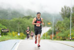 BIB: 
                            <button type="button" onclick="openModal(5536883)" class="btn btn-primary btn-sm float-right btn-popup" data-toggle="modal" data-target=".modal-high-quality">
                        <i class="fas fa-shopping-cart"></i> Add to Cart
                    </button>
                                            <button type="button" onclick="isThisMe(5536883, true)" class="btn btn-success btn-sm float-right btn-popup btn-isme hidden" data-toggle="tooltip" data-placement="bottom" title="นี่คือรูปของคุณใช่ไหม คลิกที่นี่เพื่อเอาเข้าอัลบั้ม">
                        <i class="fas fa-plus"></i> Add to album
                    </button>
                    <button type="button" onclick="isThisMe(5536883, false)" class="btn btn-warning btn-sm float-right btn-popup btn-isnotme hidden">
                        <i class="fas fa-ban"></i> Remove from album
                    </button>