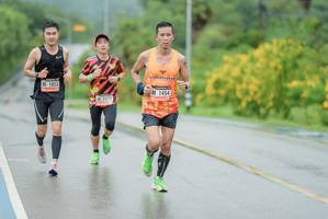 BIB: 1053, 1454, 1273
                            <button type="button" onclick="openModal(5804251)" class="btn btn-primary btn-sm float-right btn-popup" data-toggle="modal" data-target=".modal-high-quality">
                        <i class="fas fa-shopping-cart"></i> Add to Cart
                    </button>
                                            <button type="button" onclick="isThisMe(5804251, true)" class="btn btn-success btn-sm float-right btn-popup btn-isme hidden" data-toggle="tooltip" data-placement="bottom" title="นี่คือรูปของคุณใช่ไหม คลิกที่นี่เพื่อเอาเข้าอัลบั้ม">
                        <i class="fas fa-plus"></i> Add to album
                    </button>
                    <button type="button" onclick="isThisMe(5804251, false)" class="btn btn-warning btn-sm float-right btn-popup btn-isnotme hidden">
                        <i class="fas fa-ban"></i> Remove from album
                    </button>