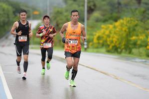 BIB: 1053, 1454, 1273
                            <button type="button" onclick="openModal(5536106)" class="btn btn-primary btn-sm float-right btn-popup" data-toggle="modal" data-target=".modal-high-quality">
                        <i class="fas fa-shopping-cart"></i> Add to Cart
                    </button>
                                            <button type="button" onclick="isThisMe(5536106, true)" class="btn btn-success btn-sm float-right btn-popup btn-isme hidden" data-toggle="tooltip" data-placement="bottom" title="นี่คือรูปของคุณใช่ไหม คลิกที่นี่เพื่อเอาเข้าอัลบั้ม">
                        <i class="fas fa-plus"></i> Add to album
                    </button>
                    <button type="button" onclick="isThisMe(5536106, false)" class="btn btn-warning btn-sm float-right btn-popup btn-isnotme hidden">
                        <i class="fas fa-ban"></i> Remove from album
                    </button>