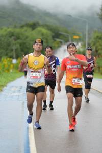 BIB: 5475, 544
                            <button type="button" onclick="openModal(5556478)" class="btn btn-primary btn-sm float-right btn-popup" data-toggle="modal" data-target=".modal-high-quality">
                        <i class="fas fa-shopping-cart"></i> Add to Cart
                    </button>
                                            <button type="button" onclick="isThisMe(5556478, true)" class="btn btn-success btn-sm float-right btn-popup btn-isme hidden" data-toggle="tooltip" data-placement="bottom" title="นี่คือรูปของคุณใช่ไหม คลิกที่นี่เพื่อเอาเข้าอัลบั้ม">
                        <i class="fas fa-plus"></i> Add to album
                    </button>
                    <button type="button" onclick="isThisMe(5556478, false)" class="btn btn-warning btn-sm float-right btn-popup btn-isnotme hidden">
                        <i class="fas fa-ban"></i> Remove from album
                    </button>