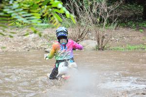 BIB: 
                            <button type="button" onclick="openModal(5501166)" class="btn btn-primary btn-sm float-right btn-popup" data-toggle="modal" data-target=".modal-high-quality">
                        <i class="fas fa-shopping-cart"></i> Add to Cart
                    </button>
                                            <button type="button" onclick="isThisMe(5501166, true)" class="btn btn-success btn-sm float-right btn-popup btn-isme hidden" data-toggle="tooltip" data-placement="bottom" title="นี่คือรูปของคุณใช่ไหม คลิกที่นี่เพื่อเอาเข้าอัลบั้ม">
                        <i class="fas fa-plus"></i> Add to album
                    </button>
                    <button type="button" onclick="isThisMe(5501166, false)" class="btn btn-warning btn-sm float-right btn-popup btn-isnotme hidden">
                        <i class="fas fa-ban"></i> Remove from album
                    </button>