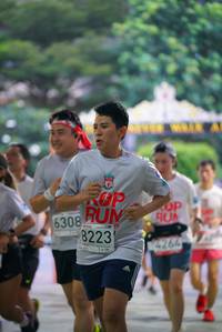 BIB: 6308, 8223, 4264
                            <button type="button" onclick="openModal(6040225)" class="btn btn-primary btn-sm float-right btn-popup" data-toggle="modal" data-target=".modal-high-quality">
                        <i class="fas fa-shopping-cart"></i> Add to Cart
                    </button>
                                            <button type="button" onclick="isThisMe(6040225, true)" class="btn btn-success btn-sm float-right btn-popup btn-isme hidden" data-toggle="tooltip" data-placement="bottom" title="นี่คือรูปของคุณใช่ไหม คลิกที่นี่เพื่อเอาเข้าอัลบั้ม">
                        <i class="fas fa-plus"></i> Add to album
                    </button>
                    <button type="button" onclick="isThisMe(6040225, false)" class="btn btn-warning btn-sm float-right btn-popup btn-isnotme hidden">
                        <i class="fas fa-ban"></i> Remove from album
                    </button>