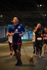 BIB: 670
                            <button type="button" onclick="openModal(5921077)" class="btn btn-primary btn-sm float-right btn-popup" data-toggle="modal" data-target=".modal-high-quality">
                        <i class="fas fa-shopping-cart"></i> Add to Cart
                    </button>
                                            <button type="button" onclick="isThisMe(5921077, true)" class="btn btn-success btn-sm float-right btn-popup btn-isme hidden" data-toggle="tooltip" data-placement="bottom" title="นี่คือรูปของคุณใช่ไหม คลิกที่นี่เพื่อเอาเข้าอัลบั้ม">
                        <i class="fas fa-plus"></i> Add to album
                    </button>
                    <button type="button" onclick="isThisMe(5921077, false)" class="btn btn-warning btn-sm float-right btn-popup btn-isnotme hidden">
                        <i class="fas fa-ban"></i> Remove from album
                    </button>