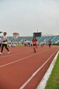 BIB: 
                            <button type="button" onclick="openModal(5990804)" class="btn btn-primary btn-sm float-right btn-popup" data-toggle="modal" data-target=".modal-high-quality">
                        <i class="fas fa-shopping-cart"></i> Add to Cart
                    </button>
                                            <button type="button" onclick="isThisMe(5990804, true)" class="btn btn-success btn-sm float-right btn-popup btn-isme hidden" data-toggle="tooltip" data-placement="bottom" title="นี่คือรูปของคุณใช่ไหม คลิกที่นี่เพื่อเอาเข้าอัลบั้ม">
                        <i class="fas fa-plus"></i> Add to album
                    </button>
                    <button type="button" onclick="isThisMe(5990804, false)" class="btn btn-warning btn-sm float-right btn-popup btn-isnotme hidden">
                        <i class="fas fa-ban"></i> Remove from album
                    </button>