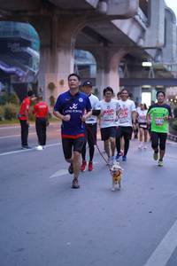 BIB: 4074, 533, 2638
                            <button type="button" onclick="openModal(5977823)" class="btn btn-primary btn-sm float-right btn-popup" data-toggle="modal" data-target=".modal-high-quality">
                        <i class="fas fa-shopping-cart"></i> Add to Cart
                    </button>
                                            <button type="button" onclick="isThisMe(5977823, true)" class="btn btn-success btn-sm float-right btn-popup btn-isme hidden" data-toggle="tooltip" data-placement="bottom" title="นี่คือรูปของคุณใช่ไหม คลิกที่นี่เพื่อเอาเข้าอัลบั้ม">
                        <i class="fas fa-plus"></i> Add to album
                    </button>
                    <button type="button" onclick="isThisMe(5977823, false)" class="btn btn-warning btn-sm float-right btn-popup btn-isnotme hidden">
                        <i class="fas fa-ban"></i> Remove from album
                    </button>