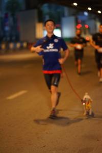 BIB: 
                            <button type="button" onclick="openModal(5997372)" class="btn btn-primary btn-sm float-right btn-popup" data-toggle="modal" data-target=".modal-high-quality">
                        <i class="fas fa-shopping-cart"></i> Add to Cart
                    </button>
                                            <button type="button" onclick="isThisMe(5997372, true)" class="btn btn-success btn-sm float-right btn-popup btn-isme hidden" data-toggle="tooltip" data-placement="bottom" title="นี่คือรูปของคุณใช่ไหม คลิกที่นี่เพื่อเอาเข้าอัลบั้ม">
                        <i class="fas fa-plus"></i> Add to album
                    </button>
                    <button type="button" onclick="isThisMe(5997372, false)" class="btn btn-warning btn-sm float-right btn-popup btn-isnotme hidden">
                        <i class="fas fa-ban"></i> Remove from album
                    </button>