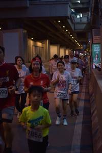 BIB: 7202, 7856
                            <button type="button" onclick="openModal(6080747)" class="btn btn-primary btn-sm float-right btn-popup" data-toggle="modal" data-target=".modal-high-quality">
                        <i class="fas fa-shopping-cart"></i> Add to Cart
                    </button>
                                            <button type="button" onclick="isThisMe(6080747, true)" class="btn btn-success btn-sm float-right btn-popup btn-isme hidden" data-toggle="tooltip" data-placement="bottom" title="นี่คือรูปของคุณใช่ไหม คลิกที่นี่เพื่อเอาเข้าอัลบั้ม">
                        <i class="fas fa-plus"></i> Add to album
                    </button>
                    <button type="button" onclick="isThisMe(6080747, false)" class="btn btn-warning btn-sm float-right btn-popup btn-isnotme hidden">
                        <i class="fas fa-ban"></i> Remove from album
                    </button>